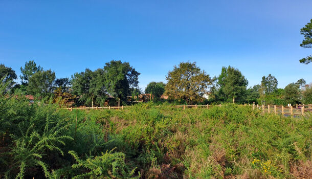 Terrain  à vendre Moliets-et-Maa 40660