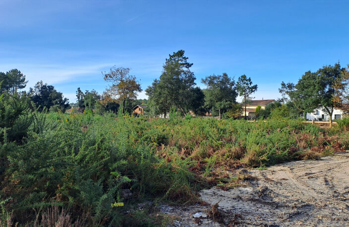 Magnifique terrain à vendre — photo 2
