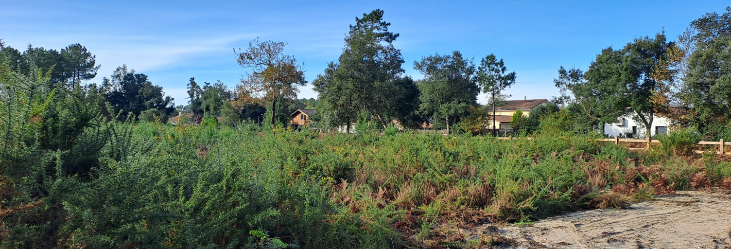 Terrain  1235 m² à vendre à Moliets-et-Maâ (40660)