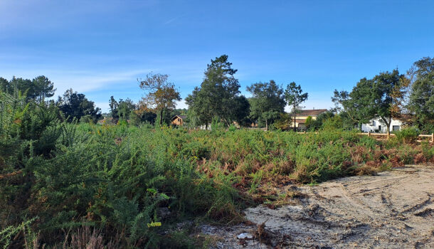 Terrain  à vendre Moliets-et-Maa 40660