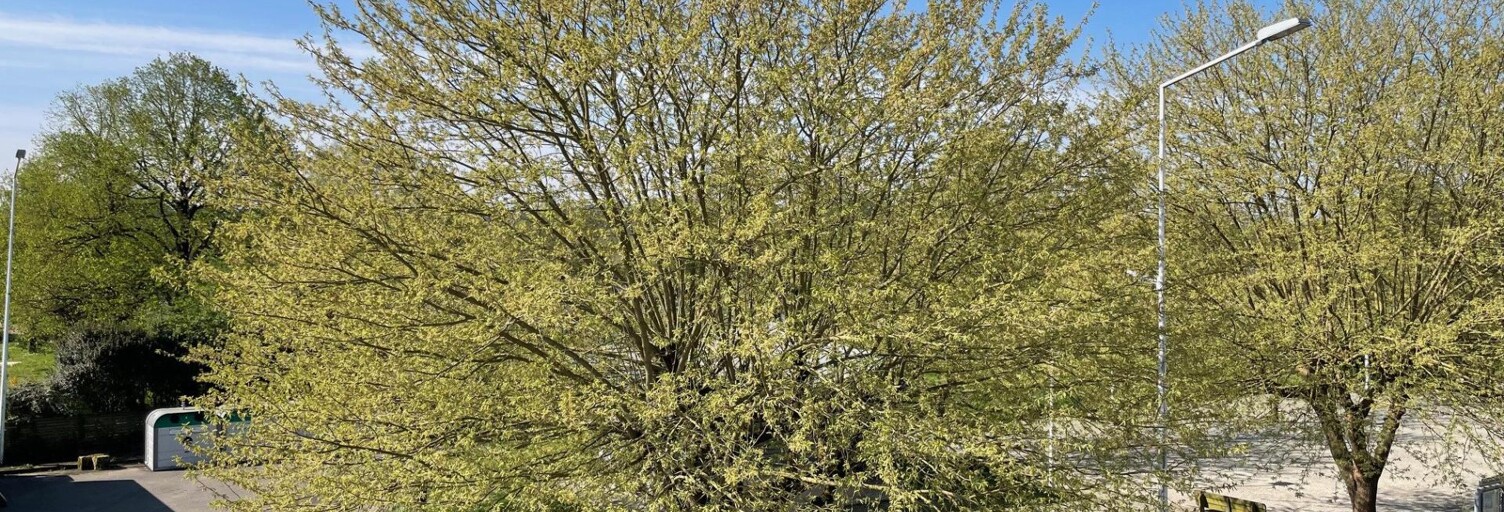 Appartement 3 Pièces 50 m² à vendre à Indre (44610)