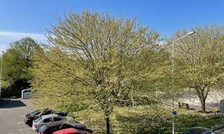 Appartement 3 Pièces 50 m² à vendre à Indre (44610)