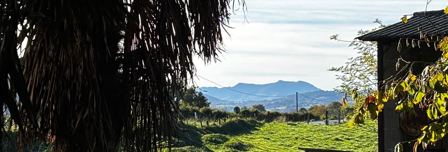 Maison 5 Pièces 156 m² à vendre à Béhasque-Lapiste (64120)