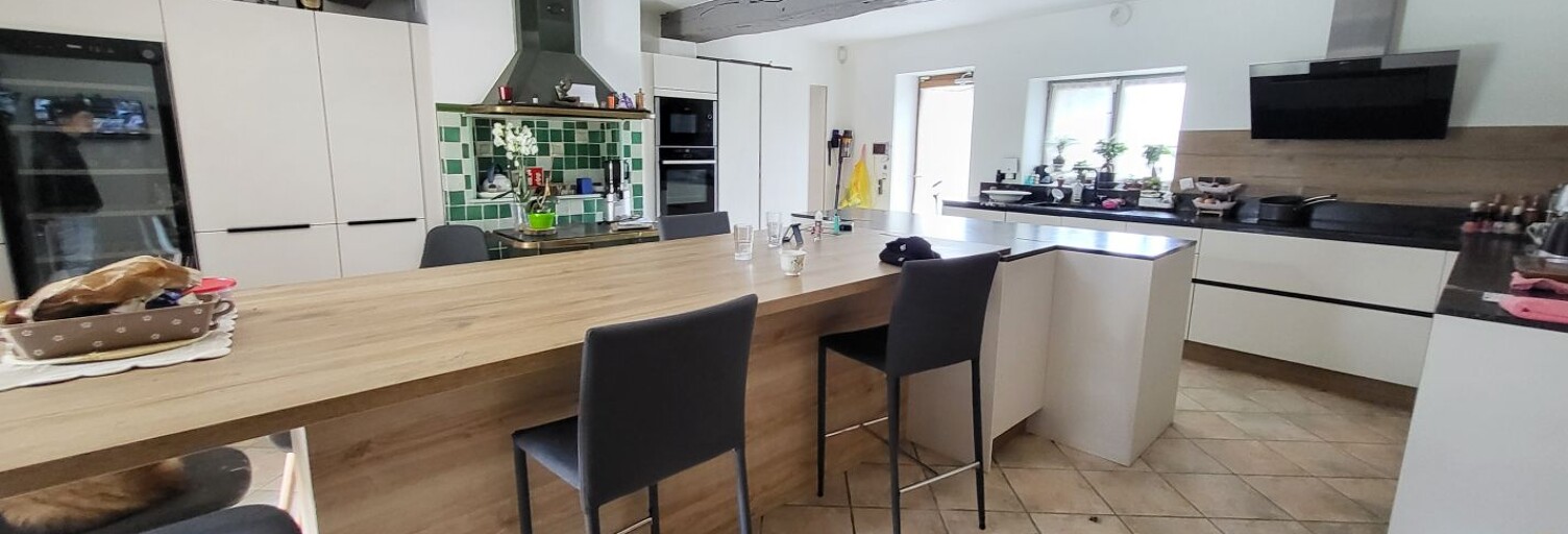 Maison 1 Pièce 358 m² à vendre à Saint-Paul-de-Varax (01240)