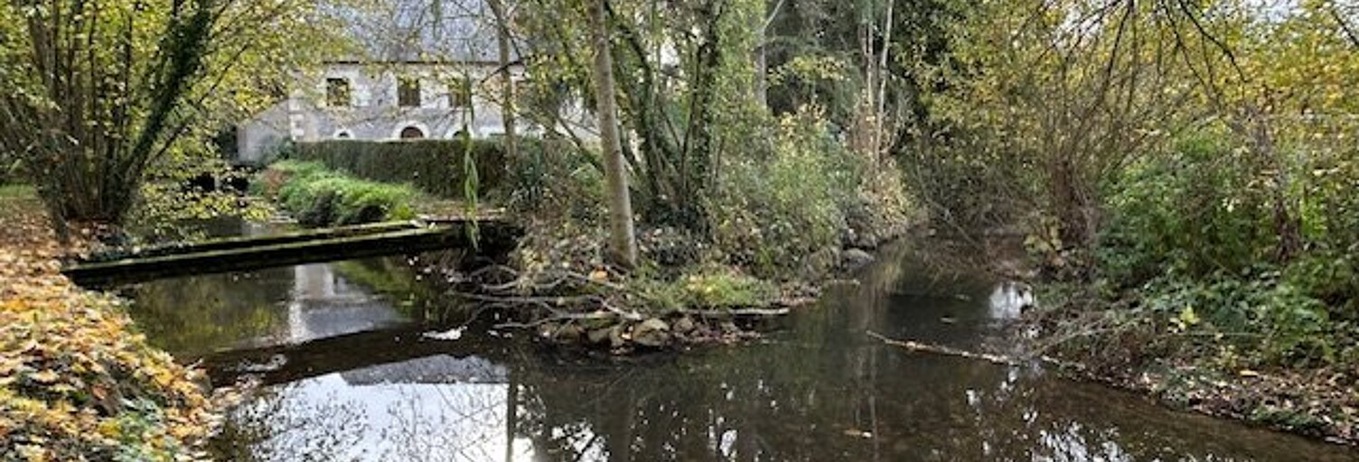 Maison 14 Pièces 420 m² à vendre à Bessé-sur-Braye (72310)