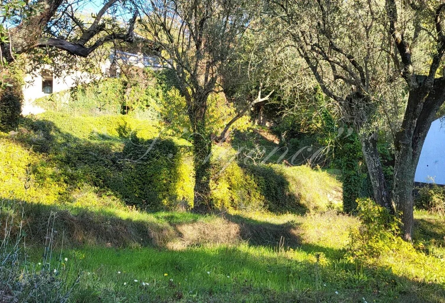SCLOS DE CONTES CHEMIN DU CASTEL — photo 1