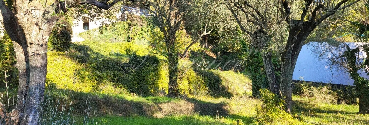 Terrain  1000 m² à vendre à Contes (06390)