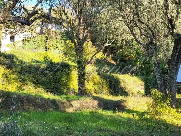 SCLOS DE CONTES CHEMIN DU CASTEL — photo 1