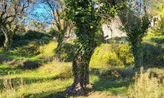 Terrain  1000 m² à vendre à Contes (06390)