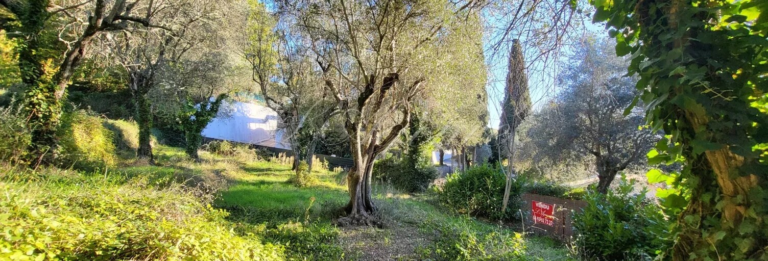 Terrain  1000 m² à vendre à Contes (06390)