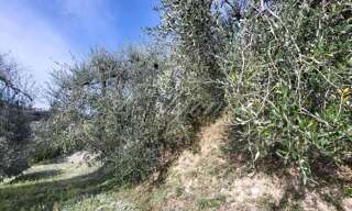 Terrain  1166 m² à vendre à Nice (06100)