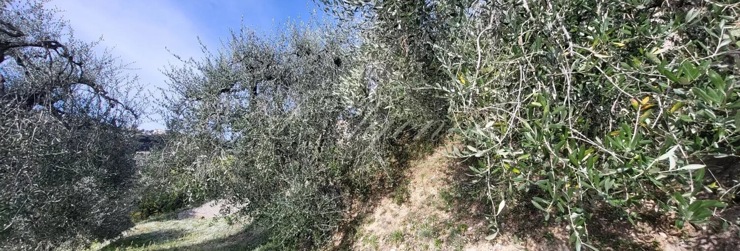 Terrain  1166 m² à vendre à Nice (06100)