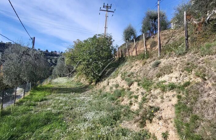 TERRAIN CONSTRUCTIBLE LAS PLANAS — photo 4
