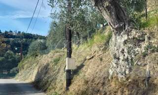 Terrain  1166 m² à vendre à Nice (06100)