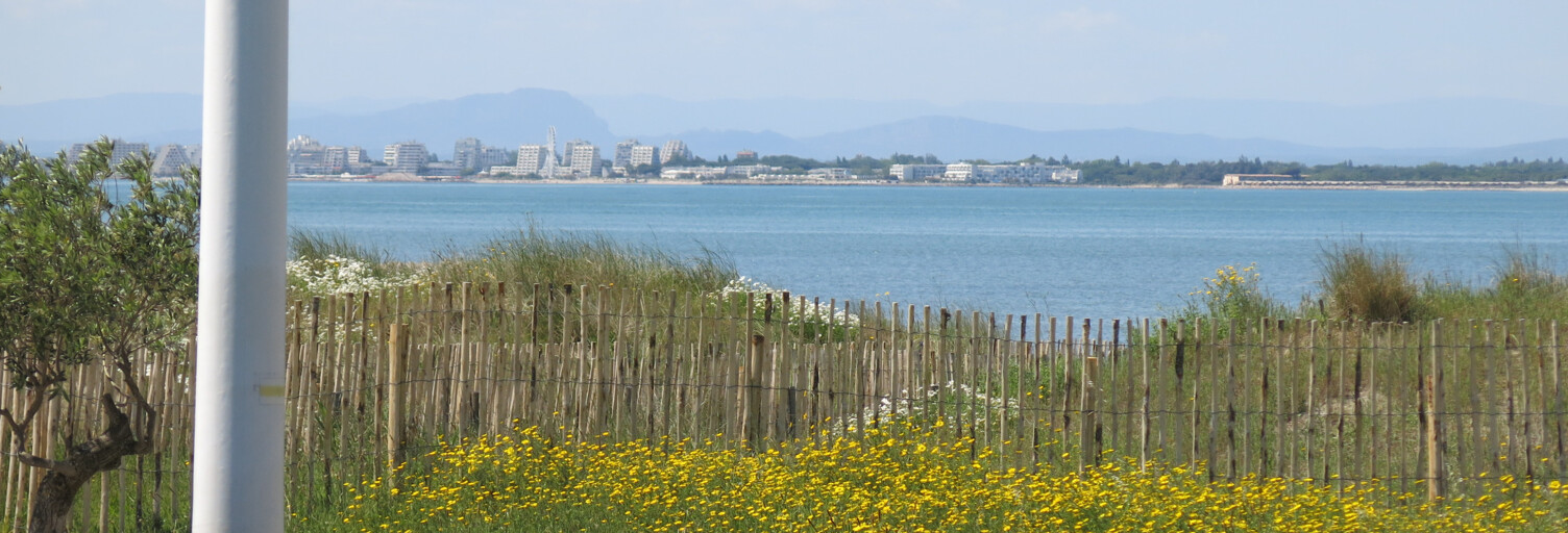 Appartement 2 Pièces 26 m² à vendre à Le Grau-du-Roi (30240)