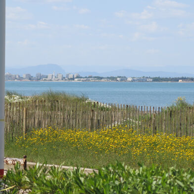 Appartement 2 pièces 225000 €