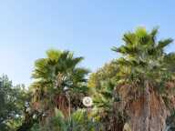 Cagnes-sur-Mer - Appartement 3 pièces vue Jardin - Garage — photo 2