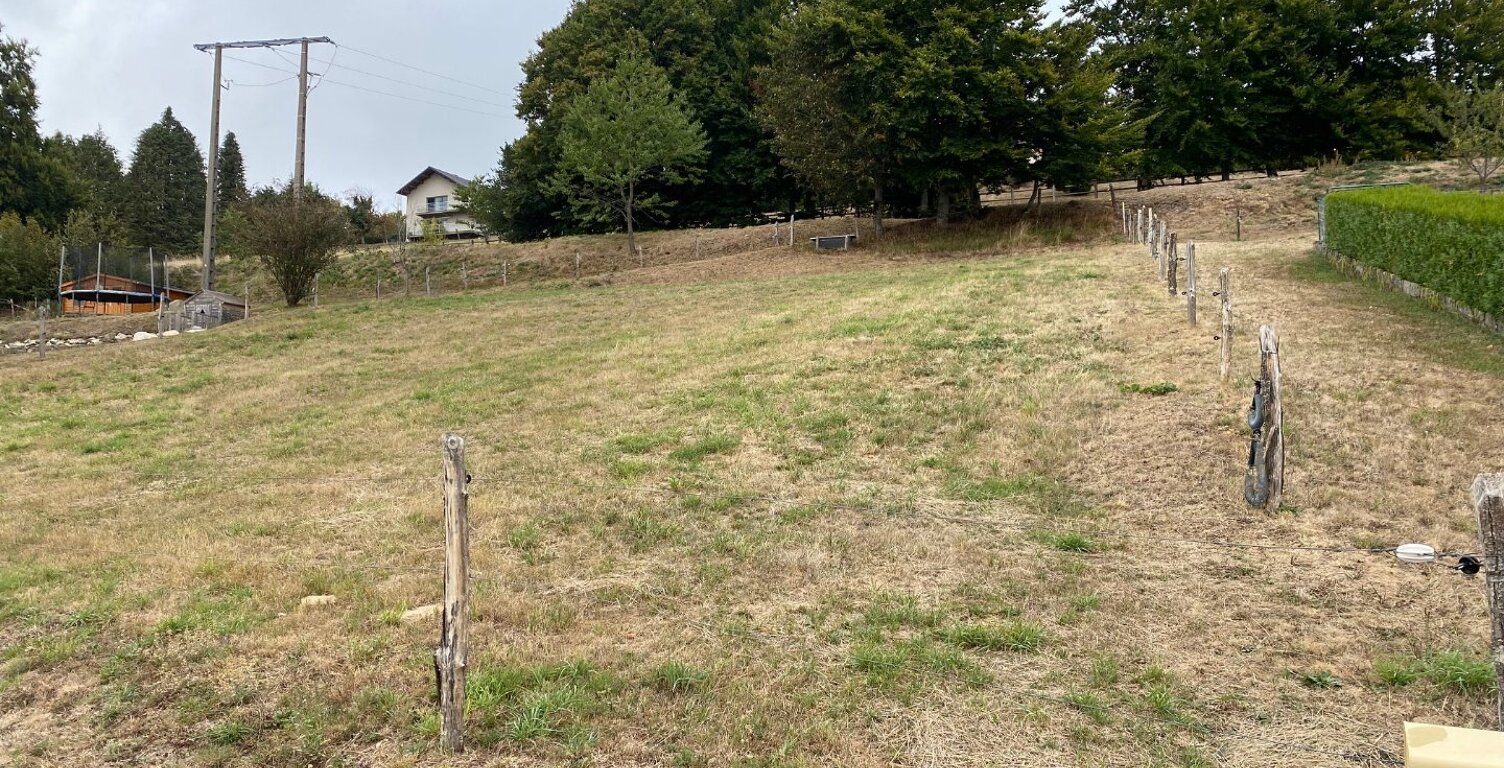 Terrain — photo 1