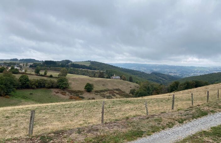Terrain — photo 2