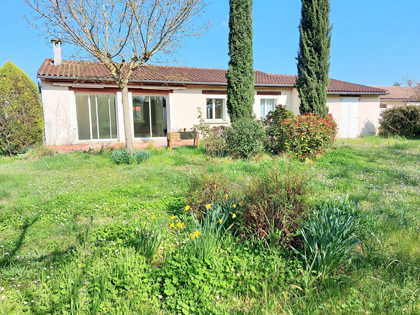 Villa / Maison  T5 à vendre Albi 81000