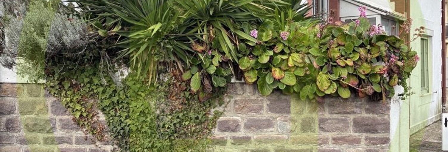 Maison 4 Pièces 70 m² à vendre à Plouha (22580)