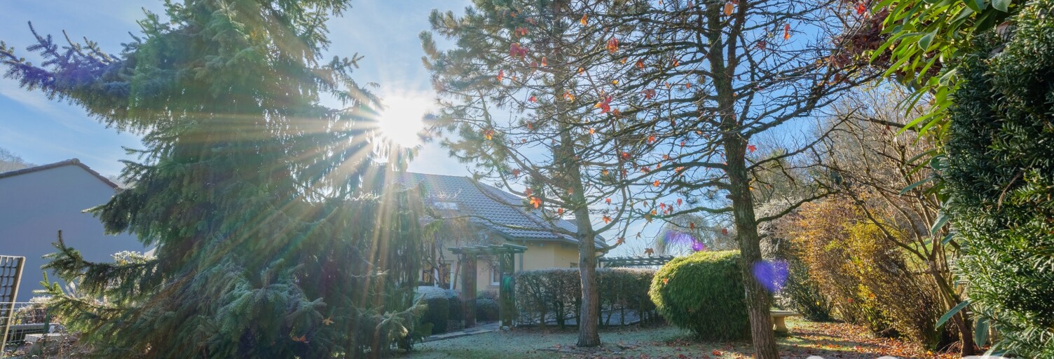 Maison 8 Pièces 170 m² à vendre à Ottange (57840)