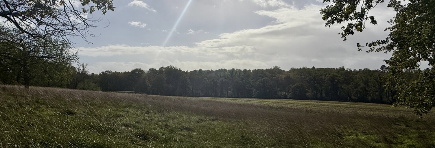 Terrain  15100 m² à vendre à Gourdon (46300)