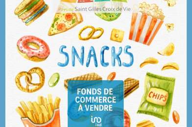 Commerce  299900 €