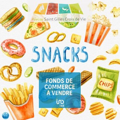 Commerce  299900 €