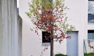 Maison 3 Pièces 74 m² à vendre à Saint-Berthevin (53940)