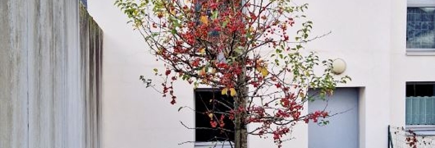 Maison 3 Pièces 74 m² à vendre à Saint-Berthevin (53940)