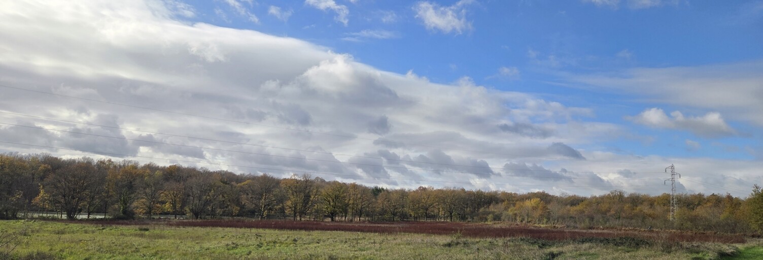 Terrain  31254 m² à vendre à Bélâbre (36370)