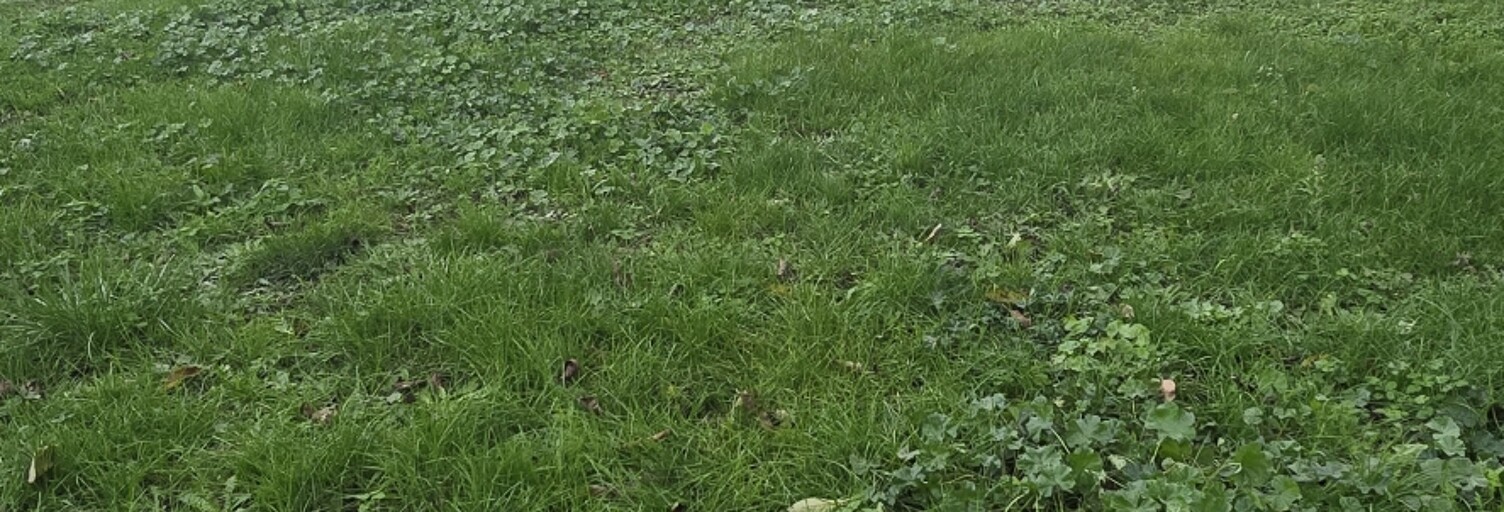 Terrain  835 m² à vendre à Bergerac (24100)