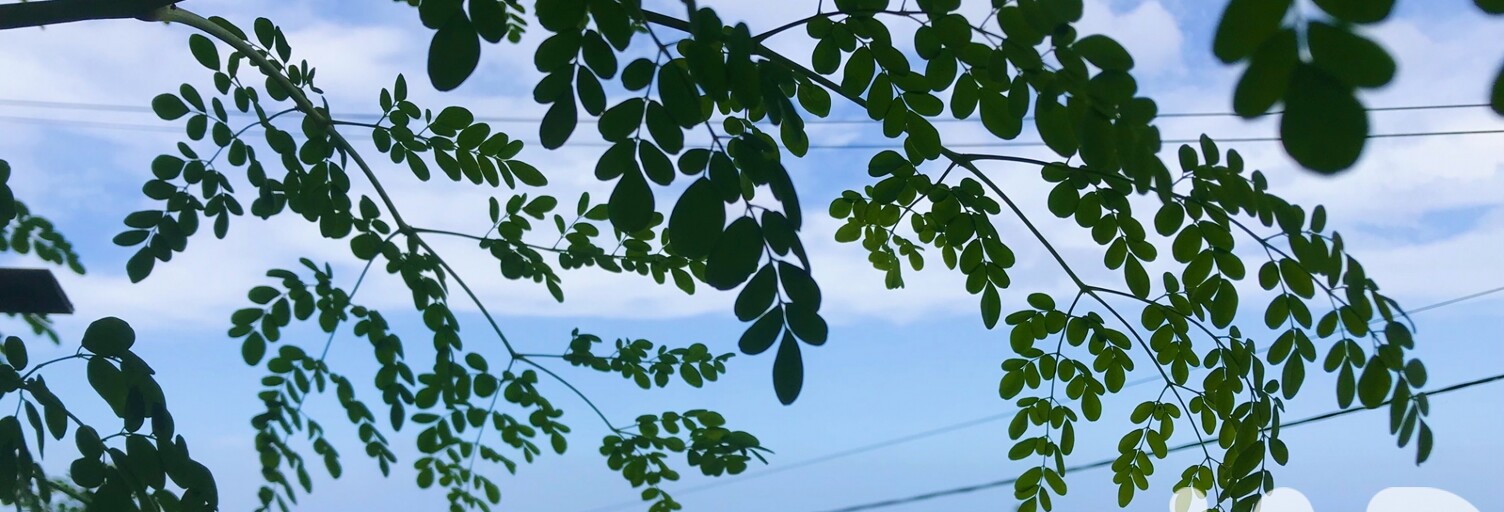 Terrain  594 m² à vendre à Les Avirons (97425)