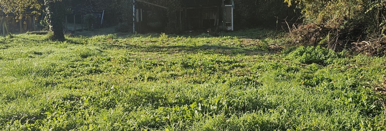 Terrain  1170 m² à vendre à Saujon (17600)