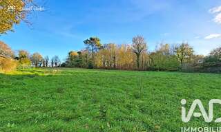 Terrain  3000 m² à vendre à Allaire (56350)