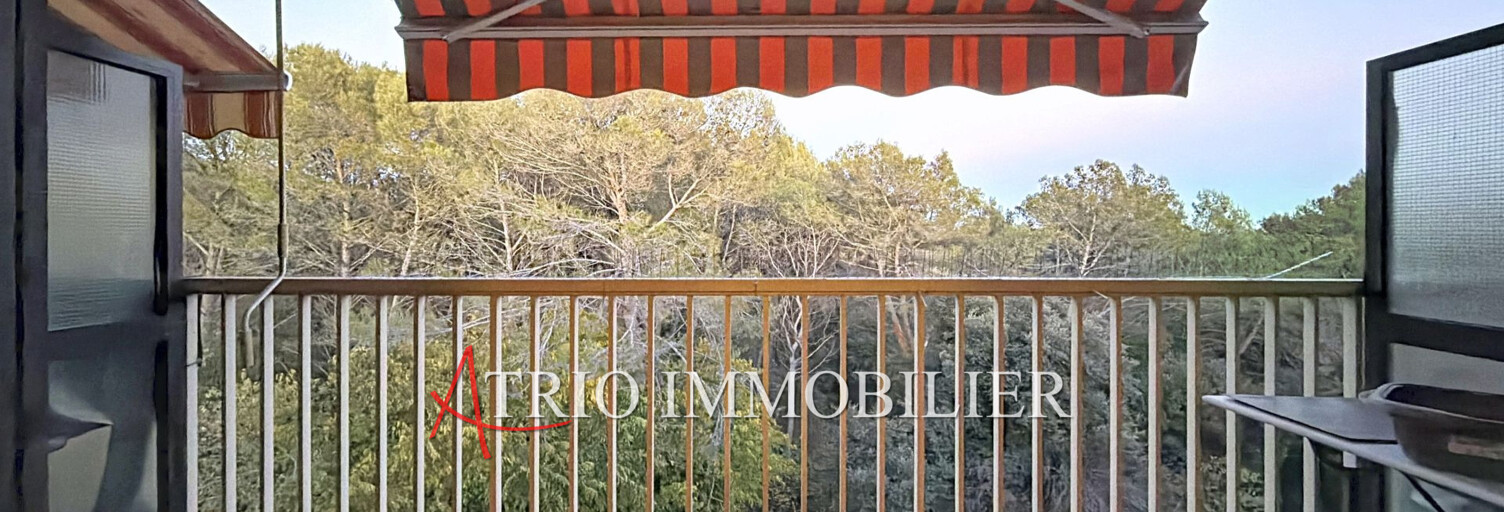 Appartement 1 Pièce 24 m² à vendre à Peymeinade (06530)