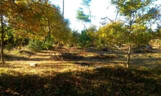 Terrain  612 m² à vendre à Audenge (33980)