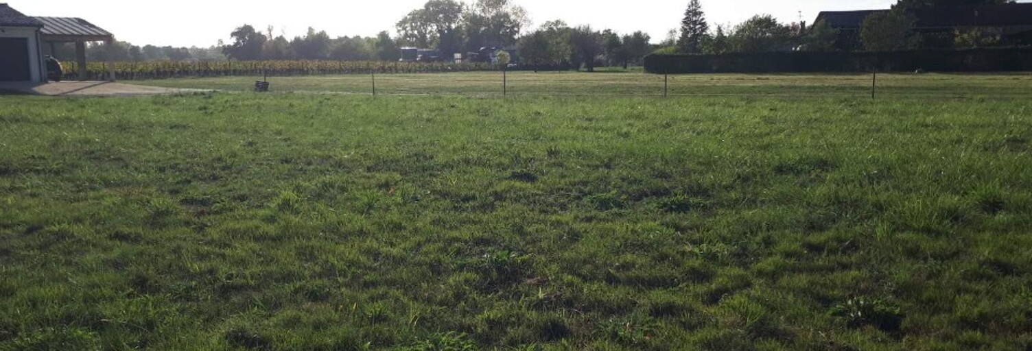 Terrain  493 m² à vendre à Brach (33480)