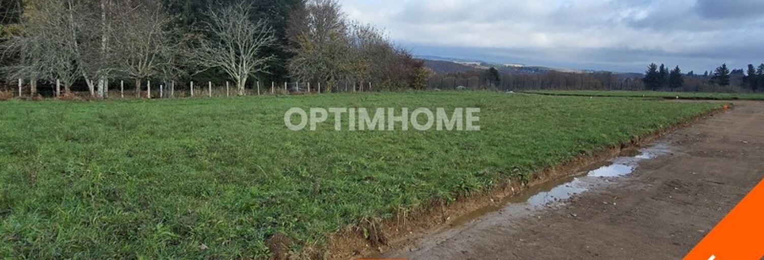 Terrain  710 m² à vendre à Le Palais-sur-Vienne (87410)