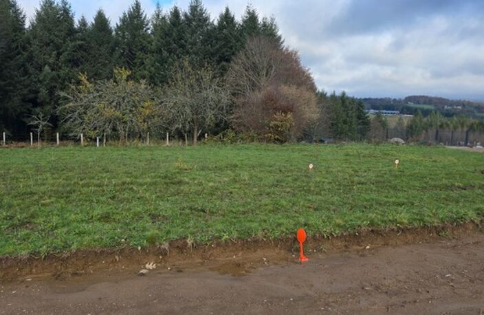 Terrain à vendre de 710,00 m² LE PALAIS SUR VIENNE (87) — photo 2