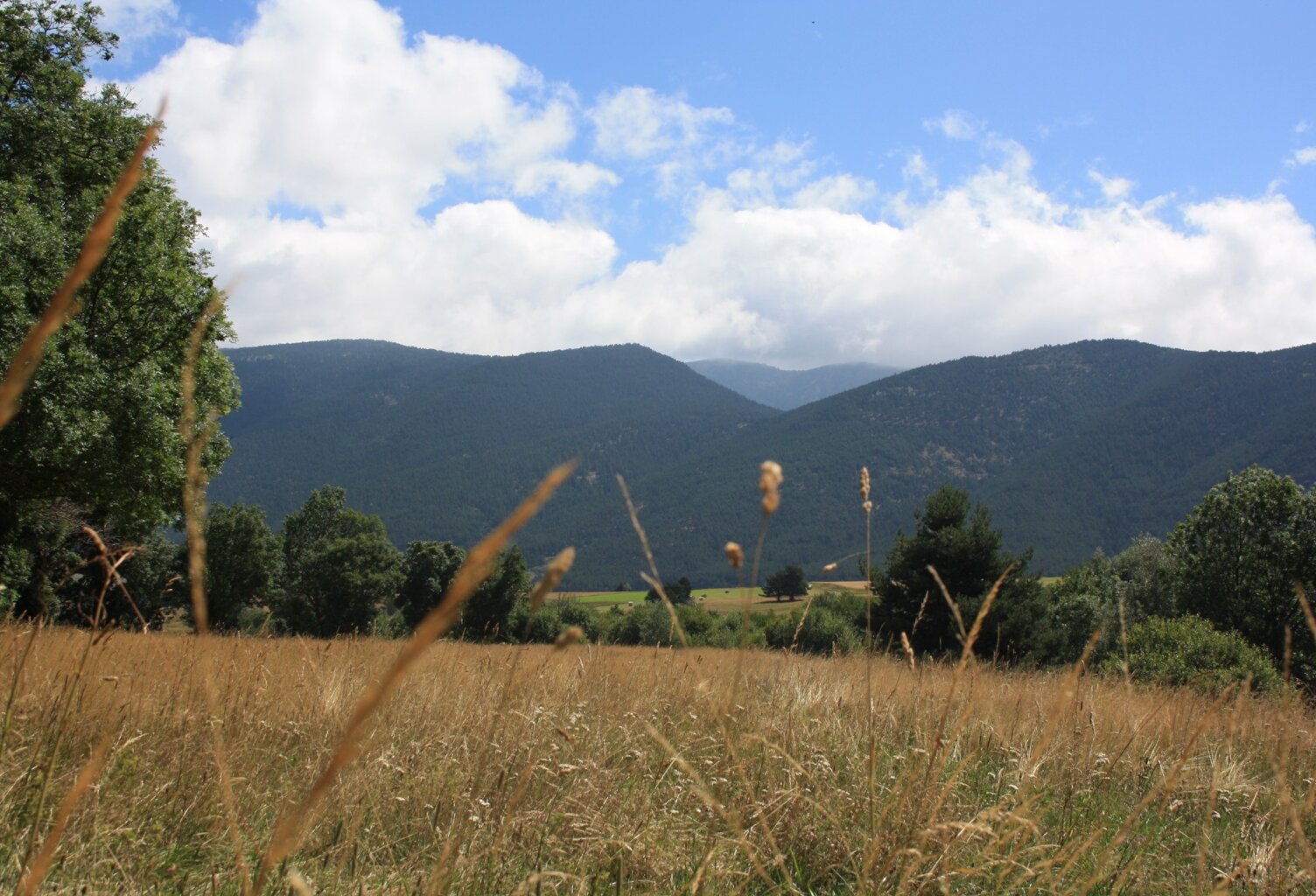 Les Jardins de Lladure Lot 4 – Terrains constructibles à Formiguères — photo 1