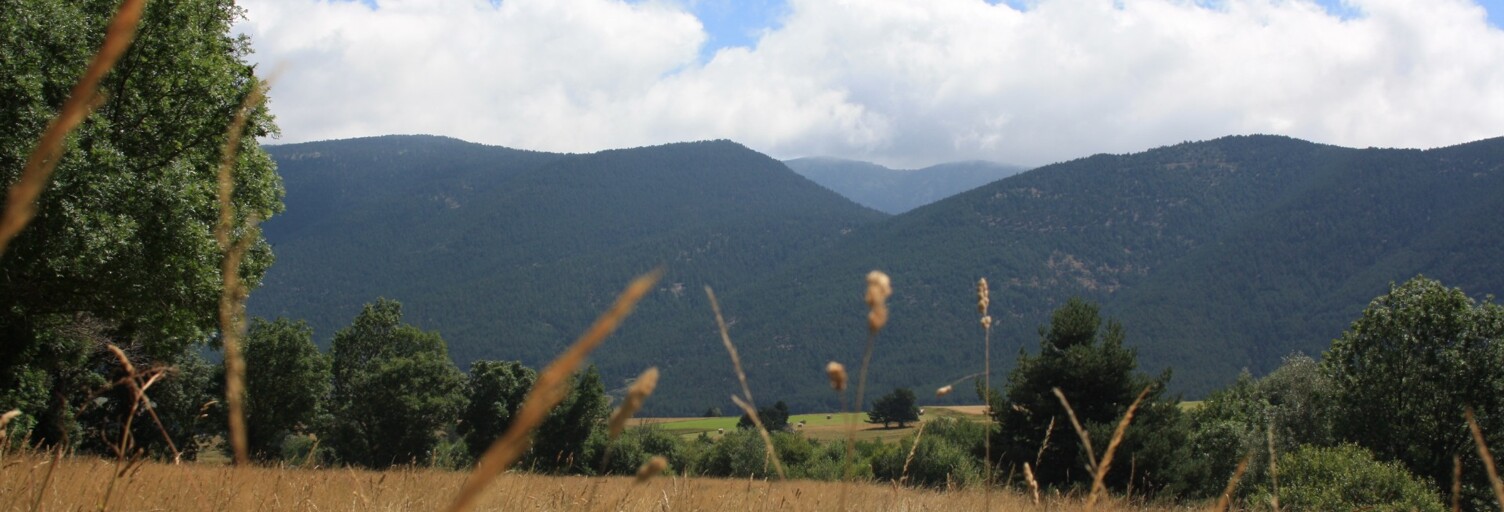 Terrain  1680 m² à vendre à Formiguères (66210)