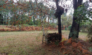 Terrain  835 m² à vendre à Biscarrosse (40600)