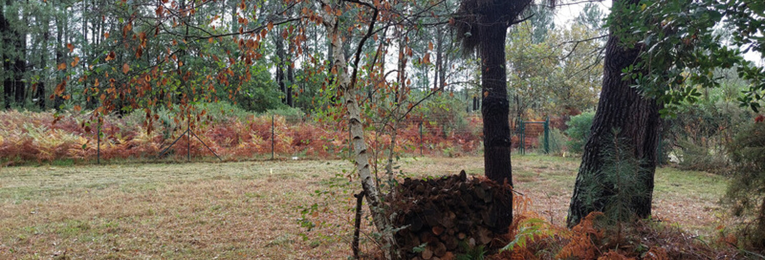 Terrain  835 m² à vendre à Biscarrosse (40600)