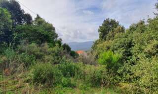 Terrain  3000 m² à vendre à Petreto-Bicchisano (20140)