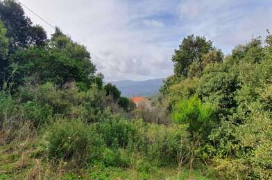 Terrain  163000 €