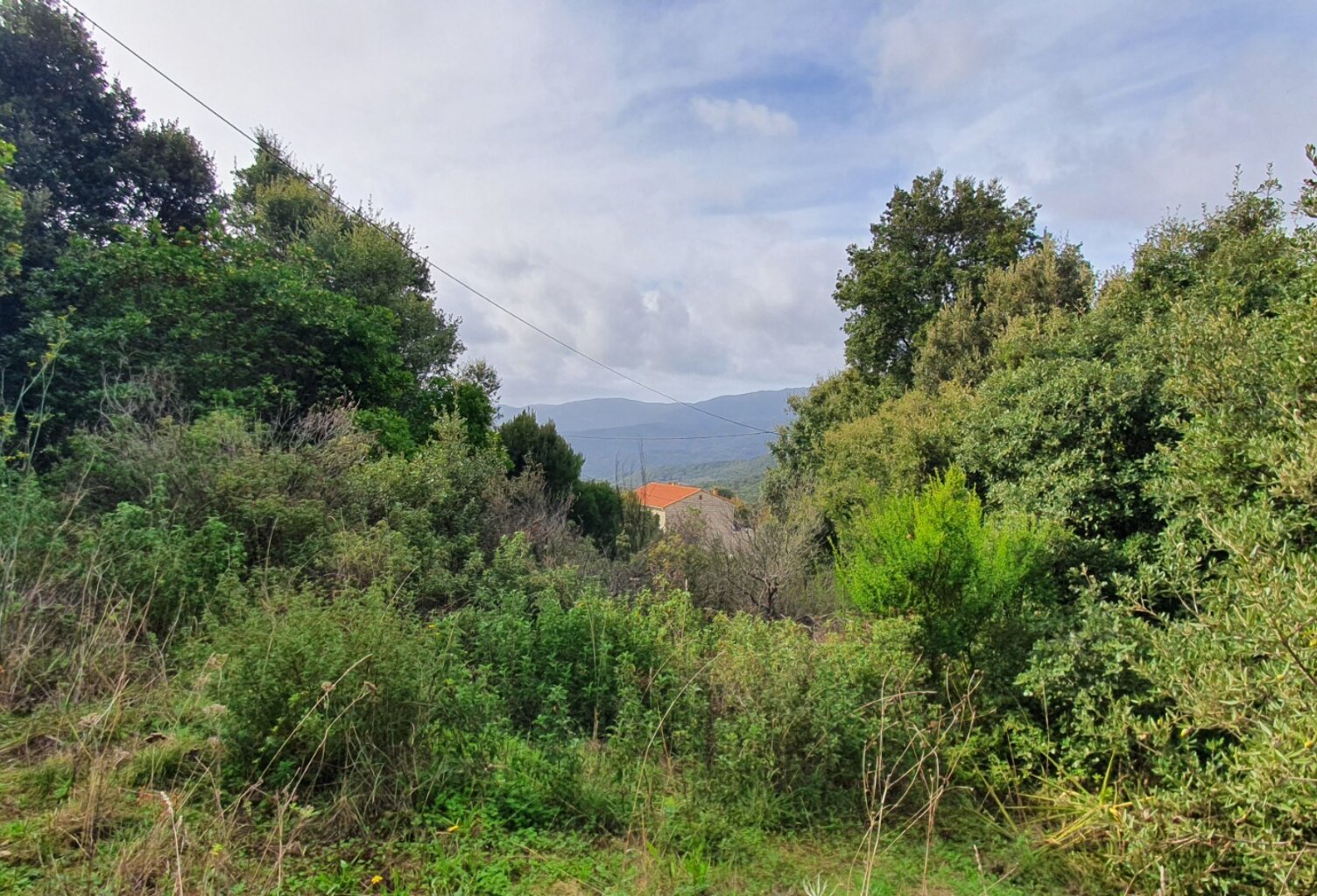 Terrain de 3 000 m² à vendre – Petreto-Bicchisano — photo 1