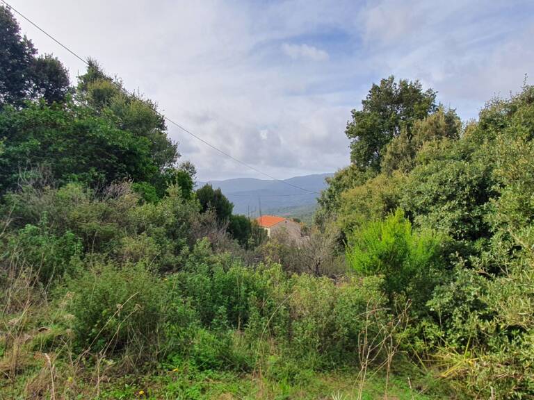 Terrain de 3 000 m² à vendre – Petreto-Bicchisano — photo 1