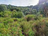Terrain de 3 000 m² à vendre – Petreto-Bicchisano — photo 2